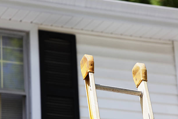 Best Shed Removal  in Morgantown, WV
